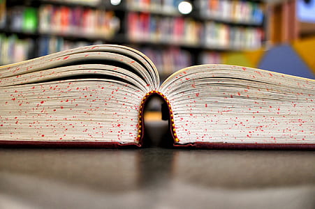 selective focus photo of open book thumbnail