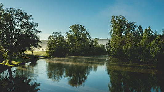 nature, sky, water, forest thumbnail