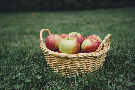 apple fruits in basket on lawn thumbnail