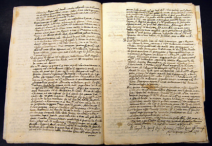 white book thumbnail