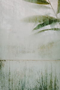 foggy glass beside green leaf thumbnail