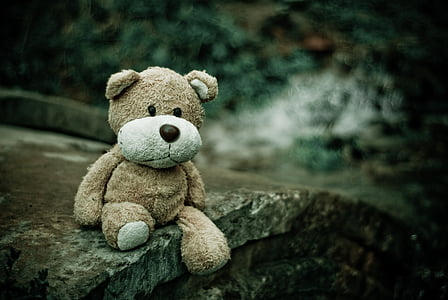 brown plush toy on concrete road thumbnail