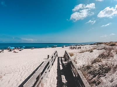 Group of People on Beach Photo thumbnail
