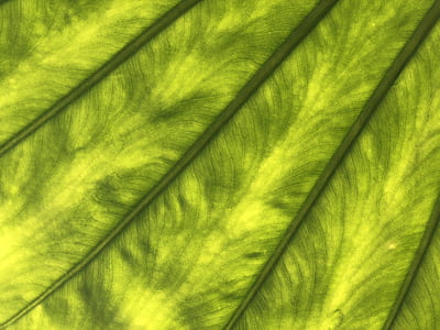 green textile thumbnail