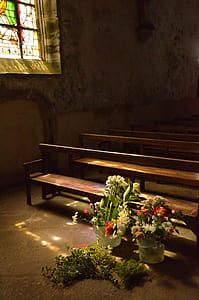 light, flowers, decoration, indoors thumbnail