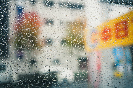 dew drops thumbnail