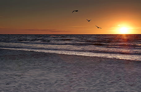 seashore during sunset thumbnail