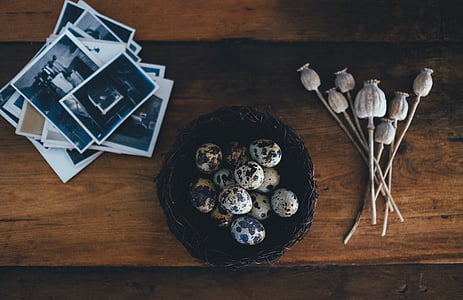 poppy, eggs, composition, pictures, old, wood thumbnail
