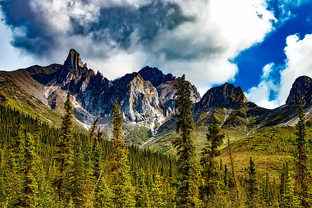 mountain near trees during daytime thumbnail