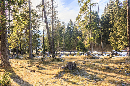 Hdr, High Dynamic Range thumbnail