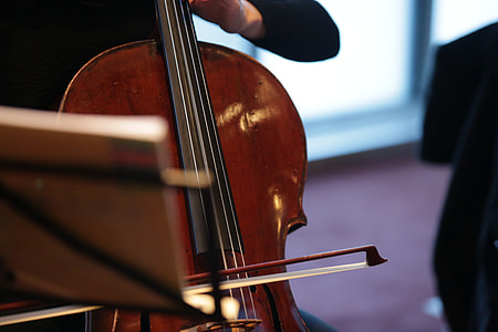 brown violin thumbnail