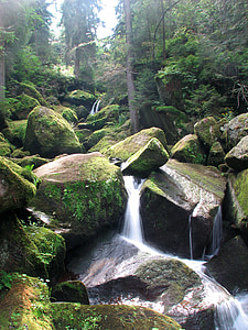 body of water on forest thumbnail