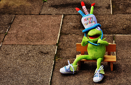 Kermit the frog plush toy wearing birthday hat sitting on brown bench thumbnail