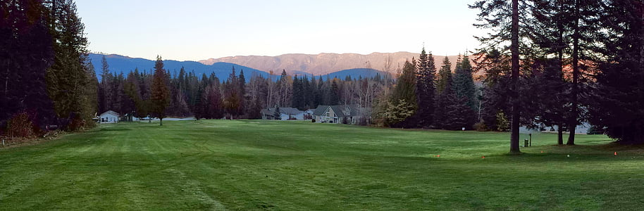 green grass thumbnail