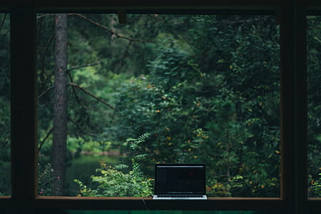 green trees outside glass window with brown wooden frame thumbnail