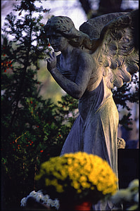 angel concrete statue near green leafed plant thumbnail