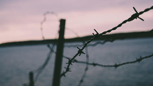 selective focus photography of barb wire thumbnail