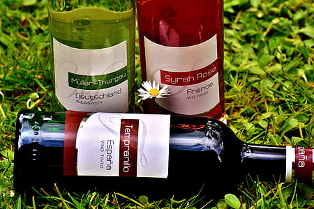 three assorted-brands liquor bottle on grass thumbnail