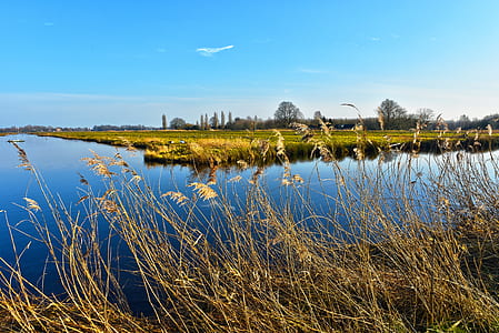 body of water near trees thumbnail