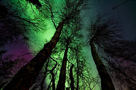 Aurora Borealis thumbnail