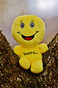 yellow Happy plush toy on wood thumbnail
