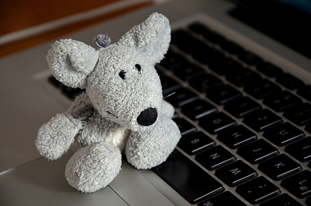 gray animal plush toy on laptop computer thumbnail
