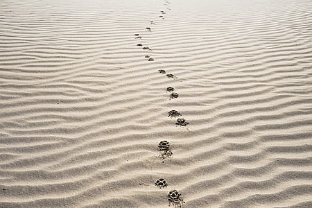 footprint on sand thumbnail