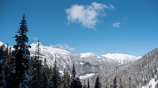 trees in glacier mountains during daytime thumbnail