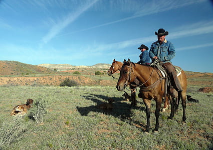 two men riding brown horses thumbnail