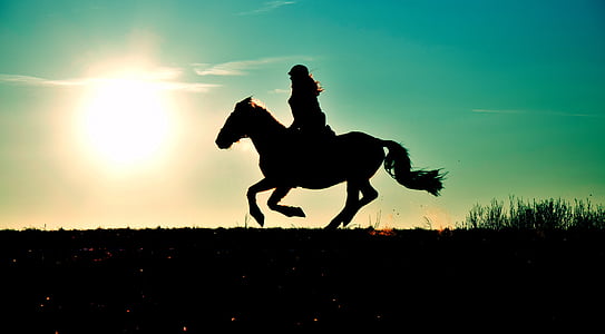 silhouette of woman riding horse thumbnail