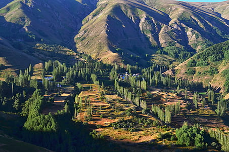 green forest near mountains during daytime thumbnail