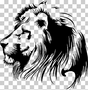 Lion Stencil , Painted lion, lion head stencil PNG clipart