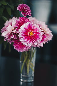 Pink Flowers on the Vase thumbnail