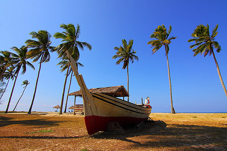 Palm Trees Blue Sky Boat thumbnail