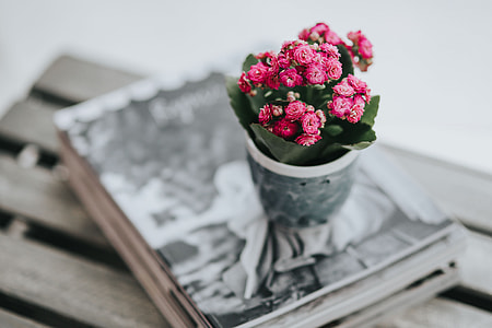 Little pink flowers in a pot with various items thumbnail