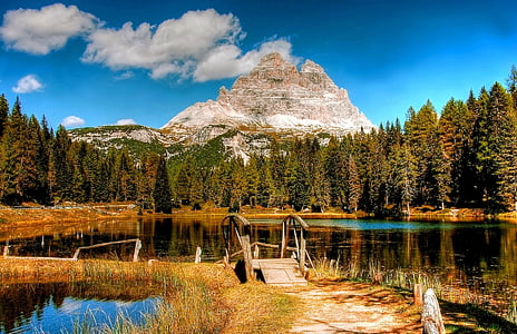 photo of green pine trees near swamp under clear blue sky thumbnail