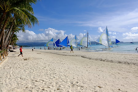 people standing on beach sand thumbnail