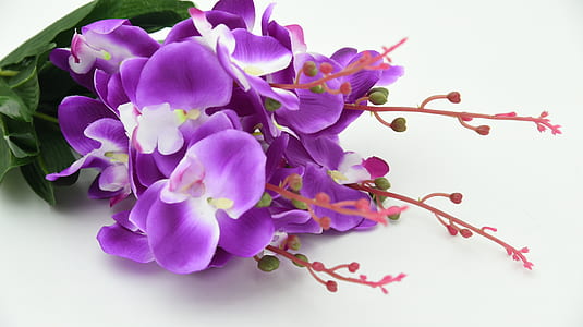 Purple Flowers thumbnail