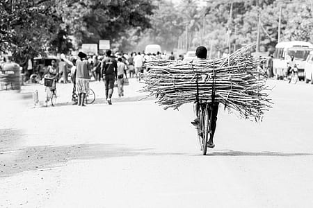 Man Carrying Firewoods thumbnail