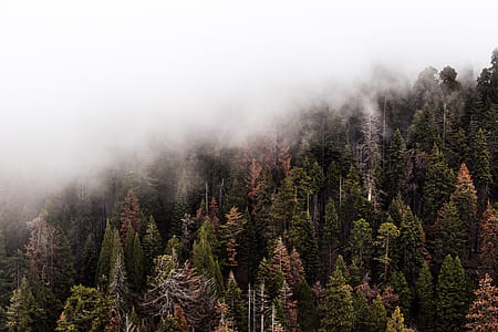 bird's eye view photography of fogs on mountain thumbnail