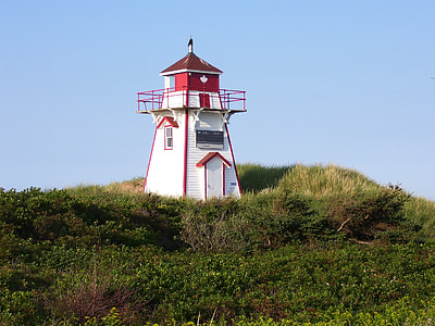 white and red lighthouse surrounded by grass thumbnail