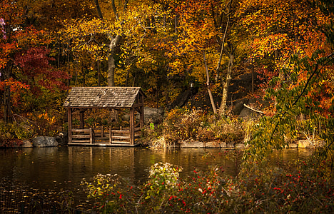 brown wooden tent near body of water and trees thumbnail