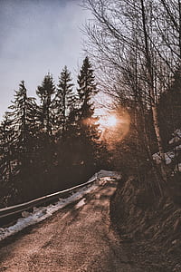 road between trees taken under white clouds at daytime thumbnail