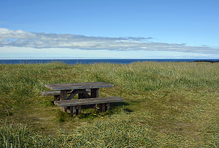 picnic bench surrounded by grassy field thumbnail