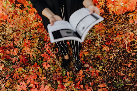 Girl with the Grafconf book on the background of colourful leaves thumbnail