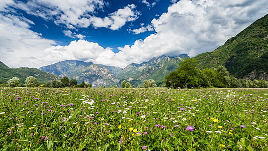 green grass fileds thumbnail
