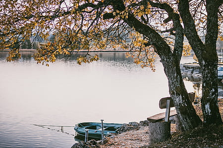 black inflatable boat docked on brown soil thumbnail