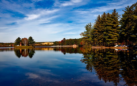 body of water near trees thumbnail