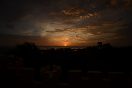 silhouette of trees during golden hour thumbnail