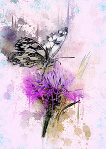 marbled white butterfly over purple petaled flower oil painting thumbnail